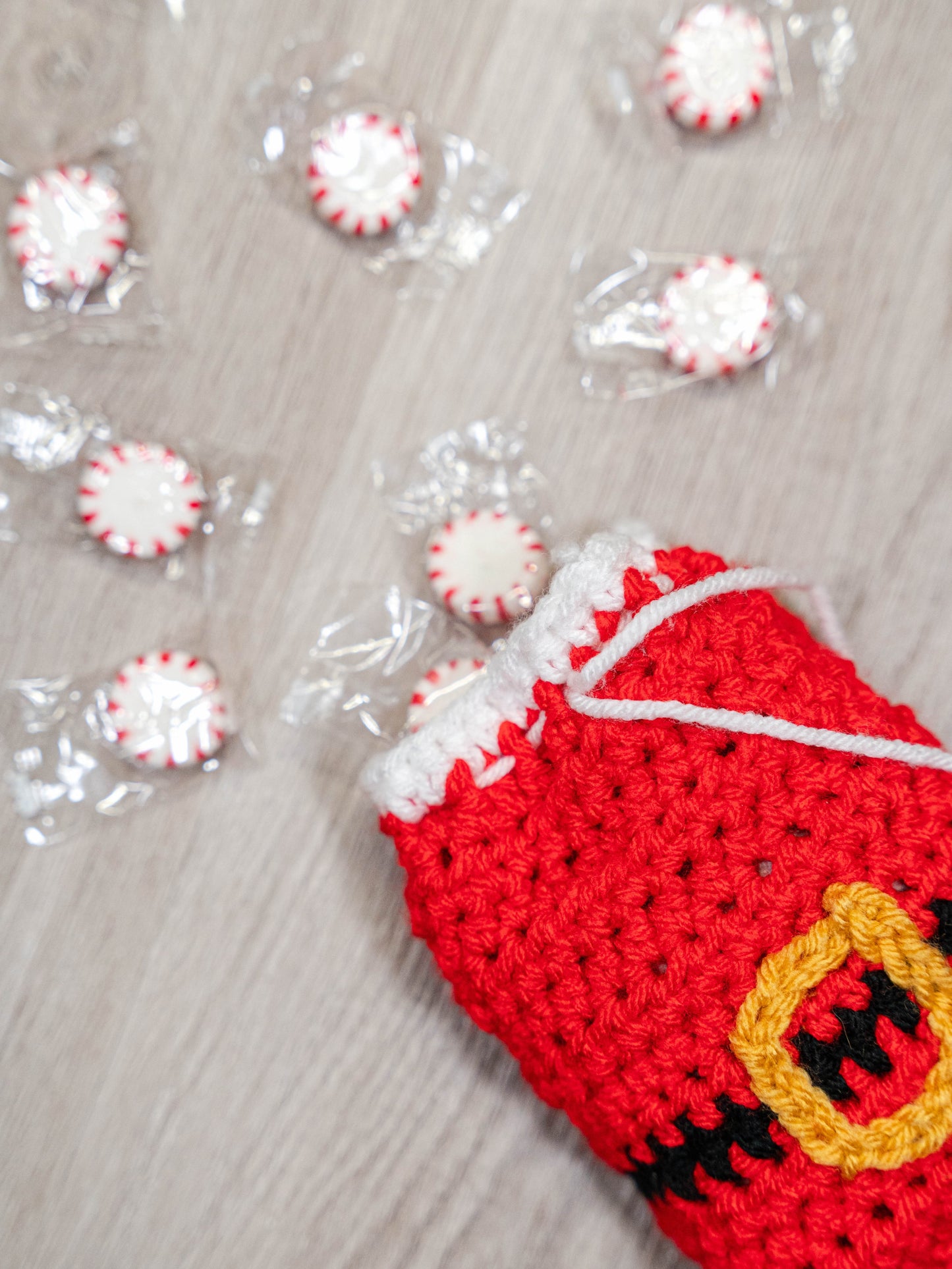 Santa Treat Bag