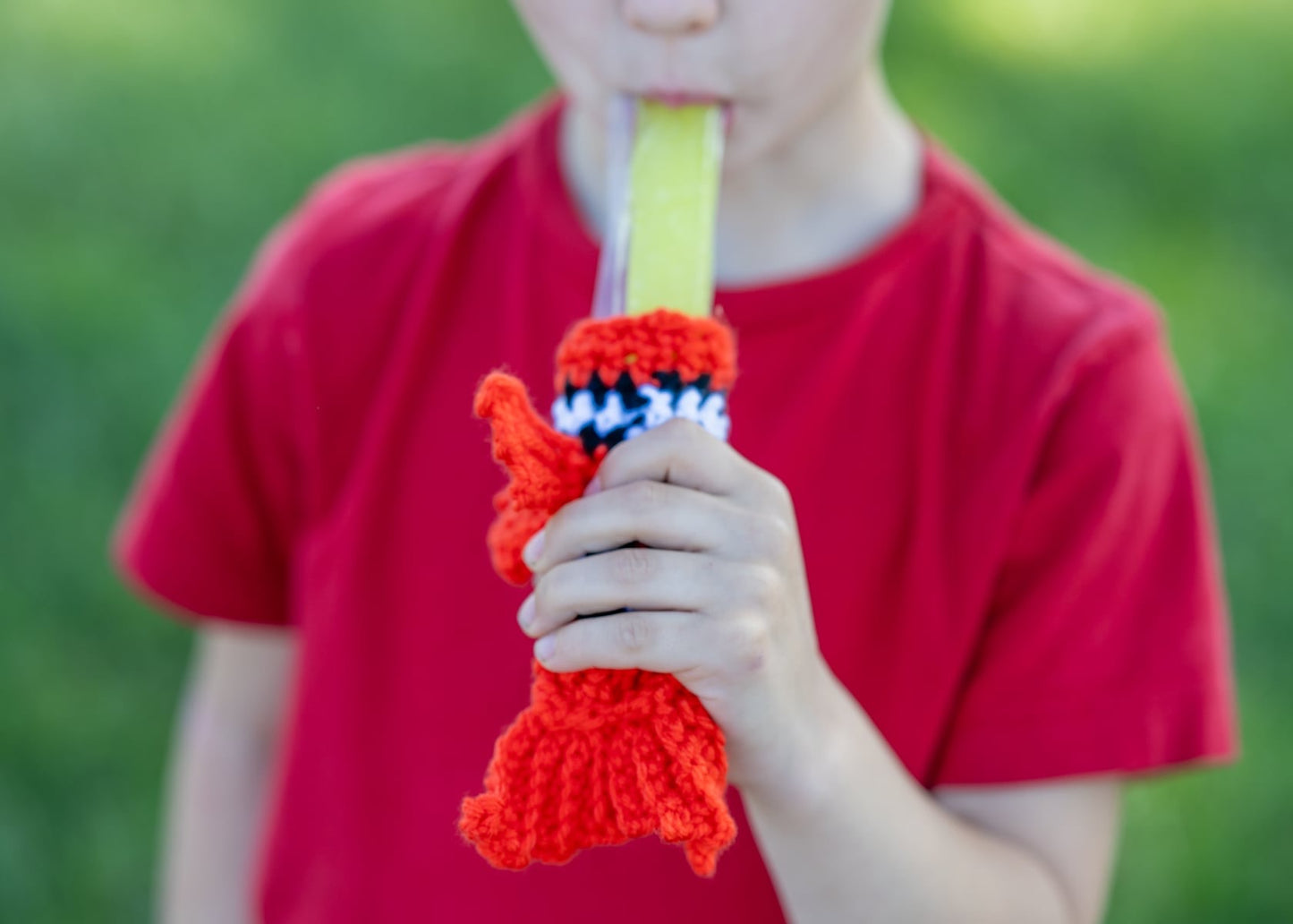 Clownfish Popsicle Holder